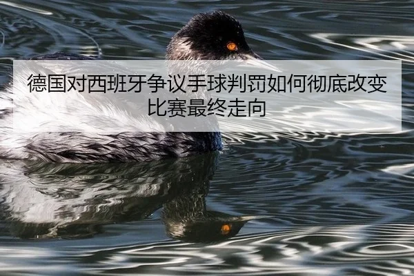 de-guo-dui-xi-ban-ya-zheng-yi-shou-qiu-pan-fa-ru-he-che-di-gai-bian-bi-sai-zui-zhong-zou-xiang-2-444.jpg
